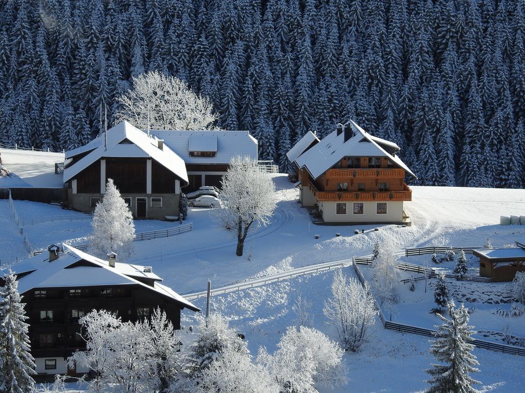 Der Hoferbauer Daire Bad Kleinkirchheim Dış mekan fotoğraf