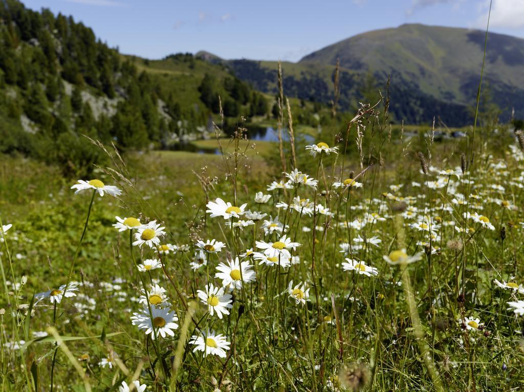 Der Hoferbauer Daire Bad Kleinkirchheim Dış mekan fotoğraf