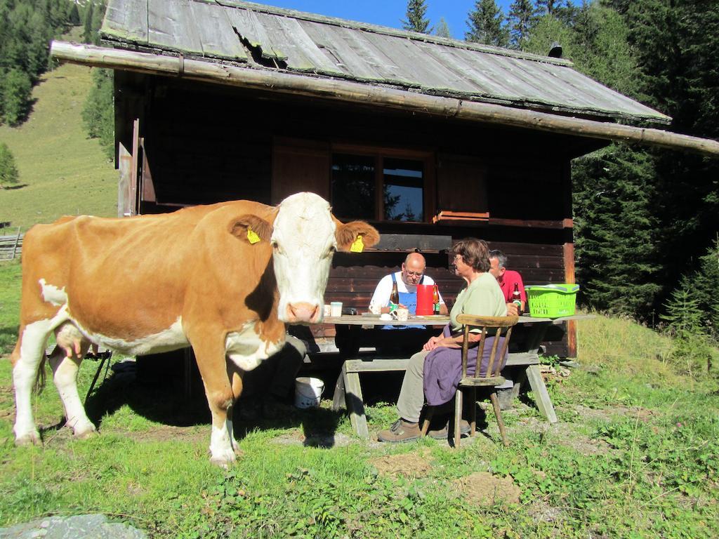 Der Hoferbauer Daire Bad Kleinkirchheim Dış mekan fotoğraf