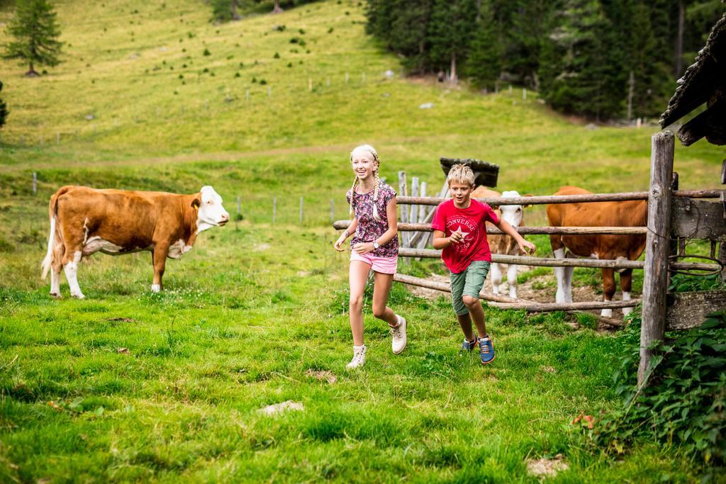 Der Hoferbauer Daire Bad Kleinkirchheim Dış mekan fotoğraf